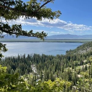 Meet your Posher, Dana